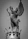 Vertical Cincinnati Flying Pigs black and white Pictures