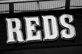 Horizontal The Cincinnati Reds Sign in Great American Ballpark Photography