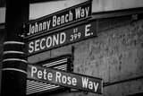 Horizontal Johnny Bench Way and Pete Rose Way Intersection landscape black and white Photography