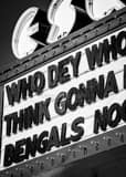 Vertical Who Dey Think Gonna Beat Them Bengals Framed Photos