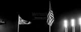 Panoramic The 2016 American League Champions Flag at Progressive Field black and white Photos