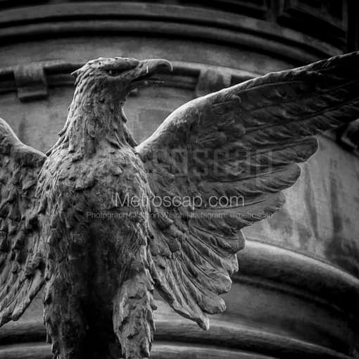 A Bronze Eagle on the Soldiers and Sailors Monument -- Cleveland Black and White Photos