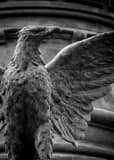 Vertical A Bronze Eagle on the Soldiers and Sailors Monument black and white Photos
