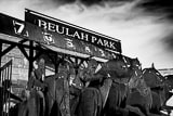 Horizontal Beulah Park in Grove City Ohio Framed Photos
