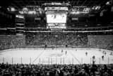 Horizontal Center Ice in Nationwide Arena black and white Pictures