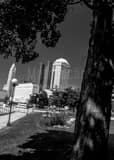 Vertical The Columbus Skyline from Bicentennial Park Framed Photos