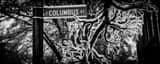 Panoramic Columbus Street in German Village black and white Photos