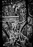 Vertical Columbus Street in German Village black and white Photos
