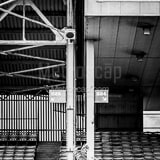 Square The Decaying Remains of Old Cooper Stadium black and white Photos