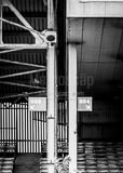 Vertical The Decaying Remains of Old Cooper Stadium black and white Photos