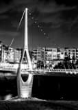 Vertical Dublin Bridge Park at Night black and white Photos