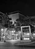 Vertical Nationwide Arena at Night Photography