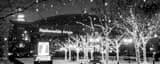 Panoramic Nationwide Arena in Snowfall at Night black and white Pictures