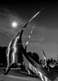 Vertical The Navistar Sculptures at Franklin Park Conservatory black and white Pictures