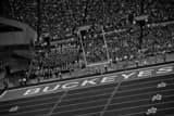 Horizontal The Ohio State Buckeyes Home Opener Framed Photos