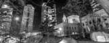 Panoramic The Ohio State House under a Dead Oak Tree Framed Photos