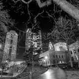 Square The Ohio State House under a Dead Oak Tree Framed Photos