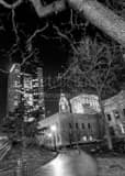 Vertical The Ohio State House under a Dead Oak Tree Framed Photos