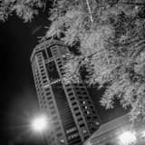 Square The Riffe Center Engulfed by Frozen Trees Framed Photos