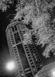 Vertical The Riffe Center Engulfed by Frozen Trees Framed Photos