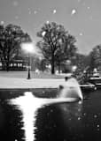 Vertical Schiller Park Pond Blanked by Falling Snow Framed Photos