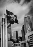 Vertical Dallas, Texas and United States Flags outside of Dallas City Hall Framed Photos