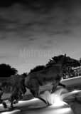 Vertical The Mustangs of Las Colinas Framed Photos