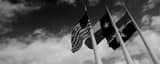 Panoramic Huge American Texas and Dallas Flags at Dallas City Hall Framed Photos