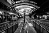 Horizontal The 16th and California RTD Station landscape black and white Photography