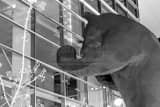 Horizontal The Big Blue Bear at the Denver Convention Center Framed Photos