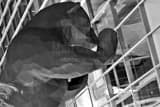 Horizontal The Big Blue Bear Peeking into the Denver Convention Center Framed Photos