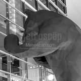 Square The Big Blue Bear at the Denver Convention Center Framed Photos