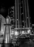 Vertical A Giant Chess Piece King near the RTD Station Framed Photos