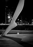 Vertical A Foot and Shadow of the Denver Dancers landscape black and white Photography