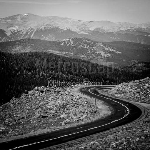 A Hairpin turn on Mt Evans Road -- Denver Black and White Photography
