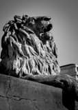 Vertical A Lion in the Denver Civic Center Park Framed Photos