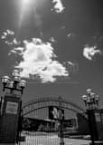 Vertical Michigan Stadium landscape black and white Photography