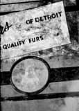 Vertical Quality Detroit Furs landscape black and white Photography