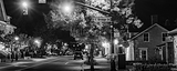 Panoramic Downtown Dublin black and white