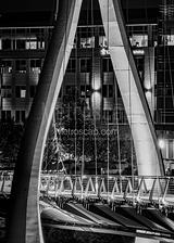 Vertical Dublin Bridge Park black and white