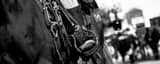 Panoramic The Cowboy Horse Tackle black and white Photos