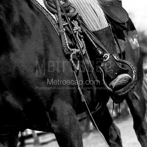 The Cowboy Horse Tackle -- Fort Worth Black and White Photos