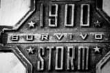 Horizontal The 1900 Galveston Storm Survivor Marker Framed Photos