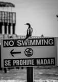 Vertical Se Prohibe Nadar Framed Photos