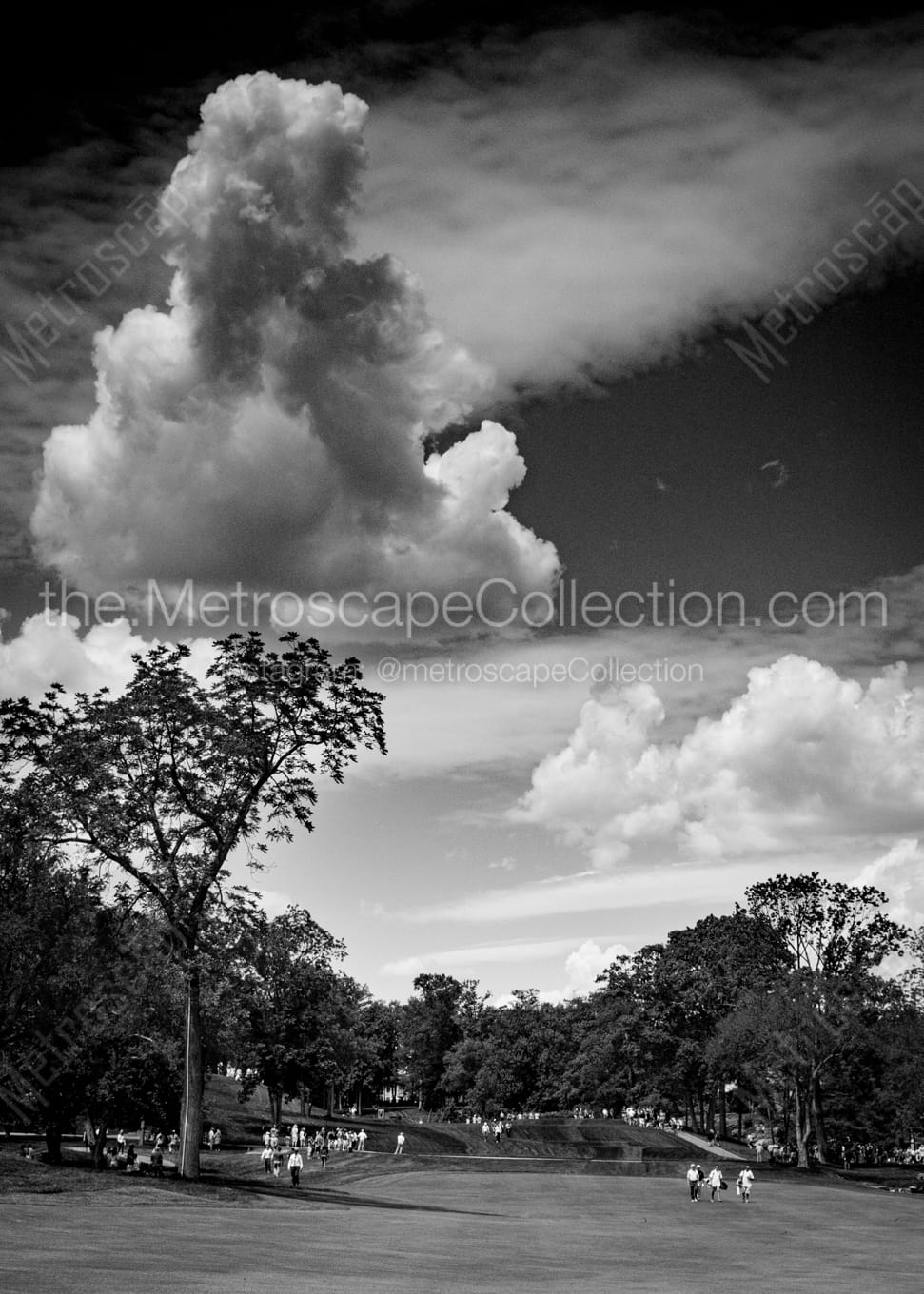 Vertical Muirfield Village Golf Club Number Eighteen black and white Photos