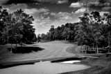 Horizontal Muirfield Village Golf Club Number Nine landscape black and white Photography