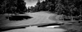 Panoramic Muirfield Village Golf Club Number Nine landscape black and white Photography