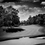 Square Muirfield Village Golf Club Number Nine landscape black and white Photography