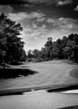 Vertical Muirfield Village Golf Club Number Nine landscape black and white Photography