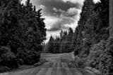 Horizontal Sahalee Country Club Number One black and white Photos